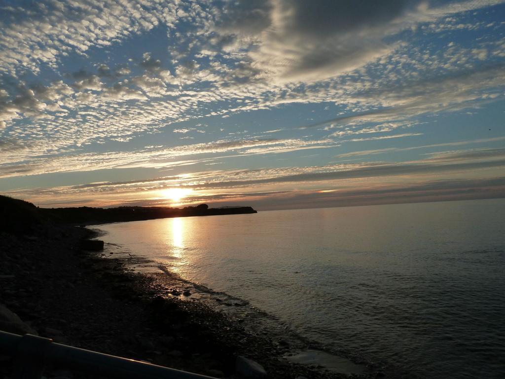 Court Farm Holiday Bungalows Ltd Watchet Bagian luar foto