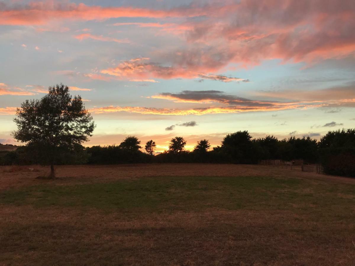 Court Farm Holiday Bungalows Ltd Watchet Bagian luar foto